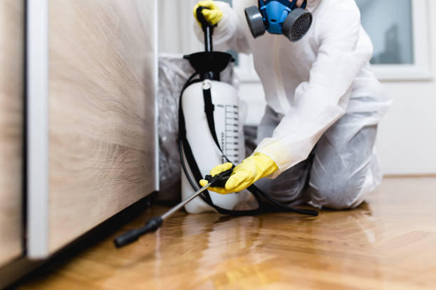 Best Pest Removal Services  in Lexington, IL