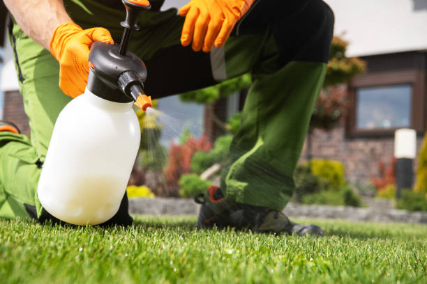 Best Cockroach Control Services  in Lexington, IL