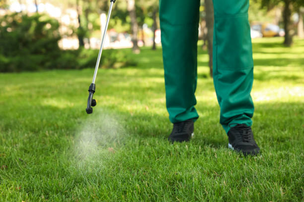 Best Pest Control Near Me  in Lexington, IL
