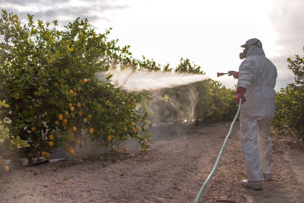 Best Ant Control Services  in Lexington, IL