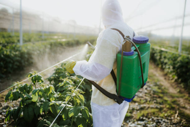 Best Ant Control Services  in Lexington, IL